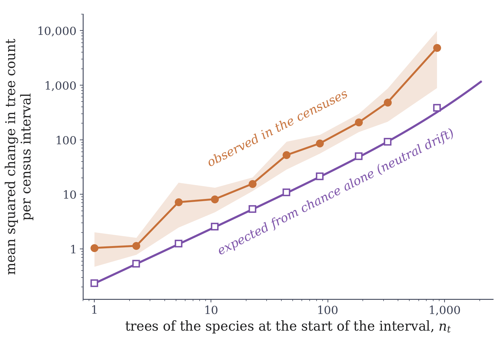 Chart on logarithmic axes. Horizontal axis: trees of the species at the start of a census interval, 1 to about 2,000. Vertical axis: mean squared change in tree count per census interval, from below 1 to 10,000. An orange line with filled circles and a pale orange band, labeled observed in the censuses, rises from about 1 at single-tree species to about 5,000 near 900 trees. A violet line with open squares, labeled expected from chance alone (neutral drift), runs roughly parallel below it, from about 0.24 to about 400 over the same range. The orange points sit several times above the violet line in every bin, and the gap widens in the last bin.